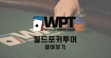 WPT-월드-포커-투어-WORLD-POKER-TOUR