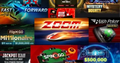 온라인 포커-속도