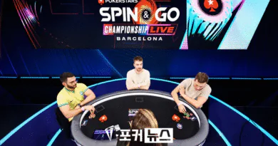 스핀앤고-챔피언십